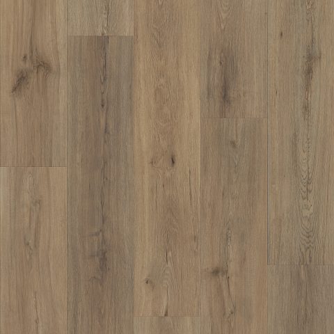 Shaw Floorte Pro Endura Plus Wild Dunes