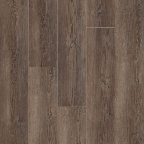Shaw Floorte Pro Paragon 7" Plus Ripped Pine