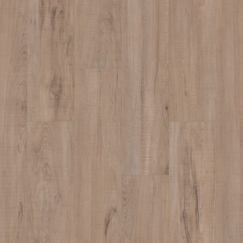 Shaw Floorte Pro Anvil Plus Chatter Oak