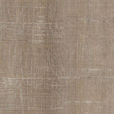 COREtec Plus XL Harbor Oak
