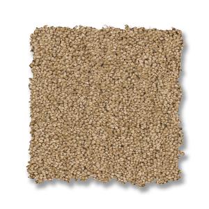 Winter Wheat