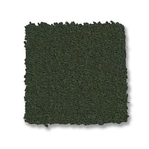 Palm Leaf
