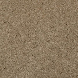 Earth Stone