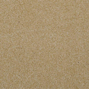 Sand Dune