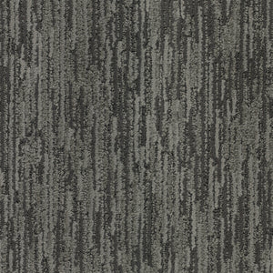Coal
