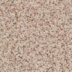 Pebble Mosaic