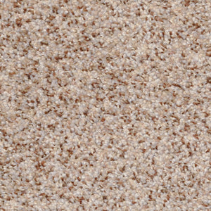Oatmeal Raisin