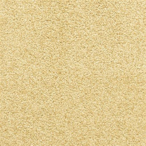 Katie's Comfort color