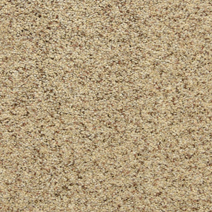 Oatmeal Raisin
