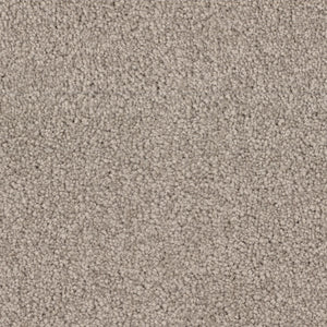 Sandpiper