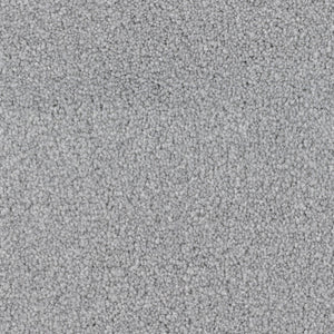 Seagull