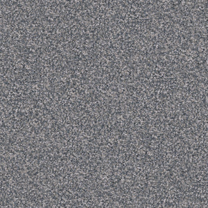 Pumi
