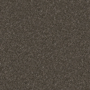 Schnauzer