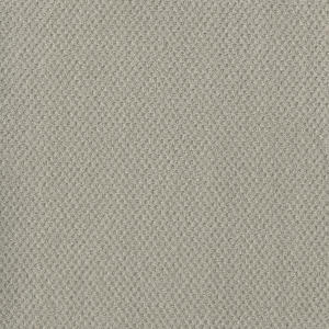 Snow Cap
