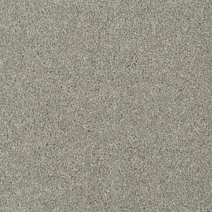 Acclaim color