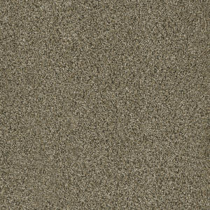 Acclaim color
