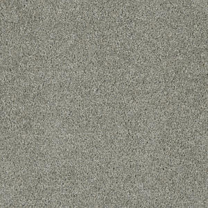 Acclaim color