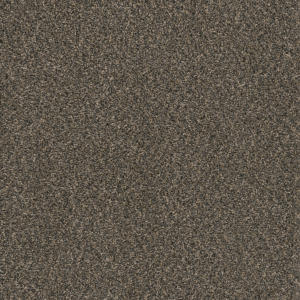 Hot Pursuit color