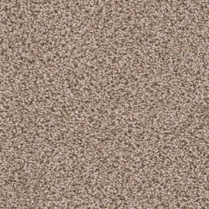 Sweepstakes color