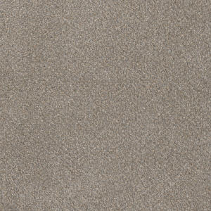 Cape Cod color