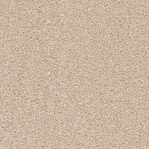 Cape Cod color