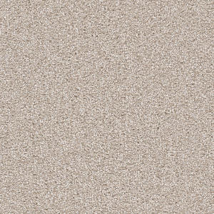 Parchment