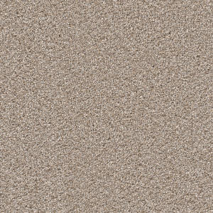 Cape Cod color