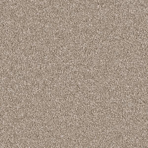 Quail