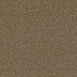 Mocha Beige