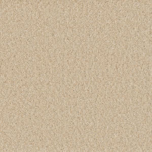 Classic Ivory