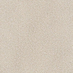 Parchment