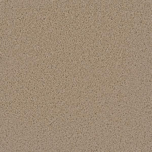 Satinwood