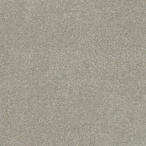 Parchment