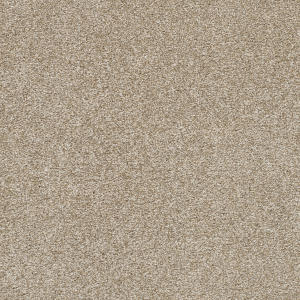 Dust