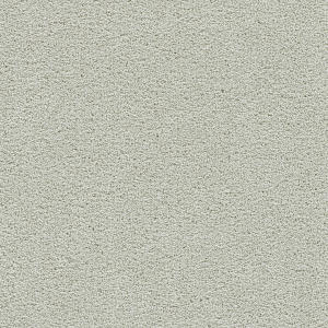 Snowbird