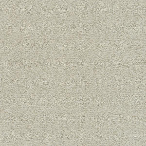 Pale Oak