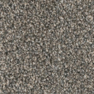 Iron Sands