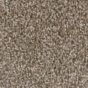 Toasted Chestnut