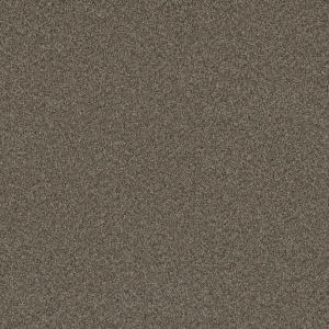 Blazer II color