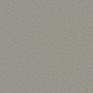 Polar Cap