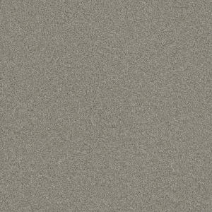Blazer II color