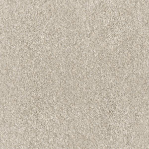 Affinity II color