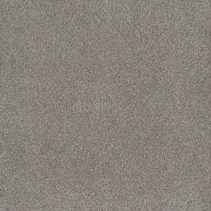 Monte Carlo II color