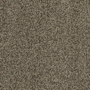 Sp250 color