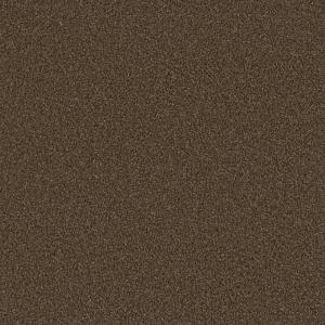 Sp250 color