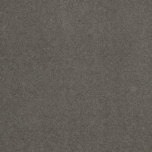 Sp250 color