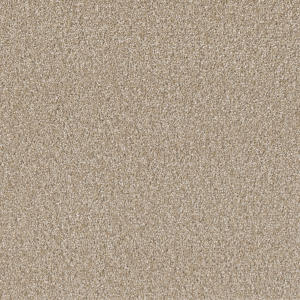 Sp251 color