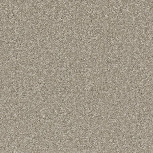 Sp251 color
