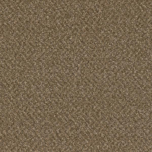Mocha Beige