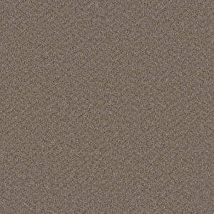 Sp251 color